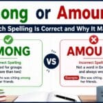 Among or Amoung