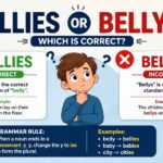 Bellies or Bellys