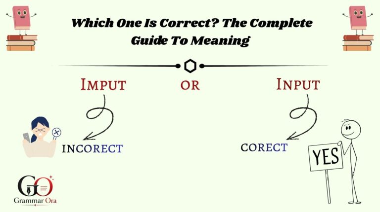 Input or Imput
