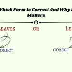 Leafs or Leaves: Which Form Is Correct And Why It Matters