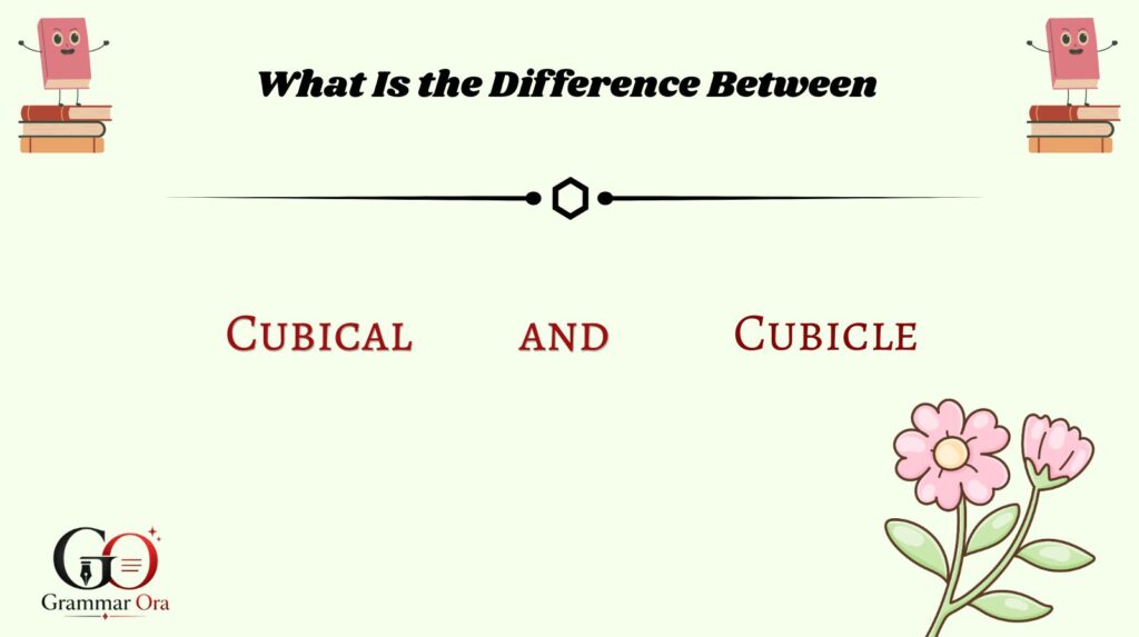 What Is the Difference Between Cubical and Cubicle