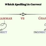 Grammar vs Grammer