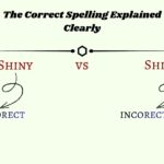 Shiny vs Shiney