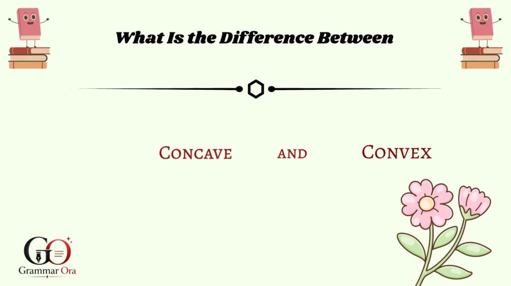What Is the Difference Between