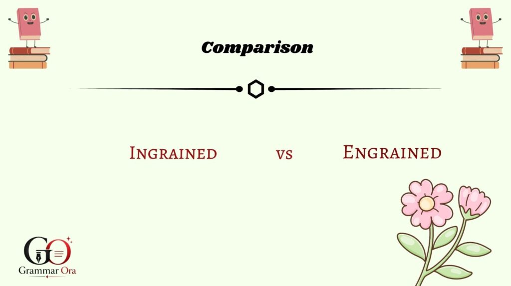  Comparison