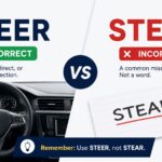 Steer vs Stear