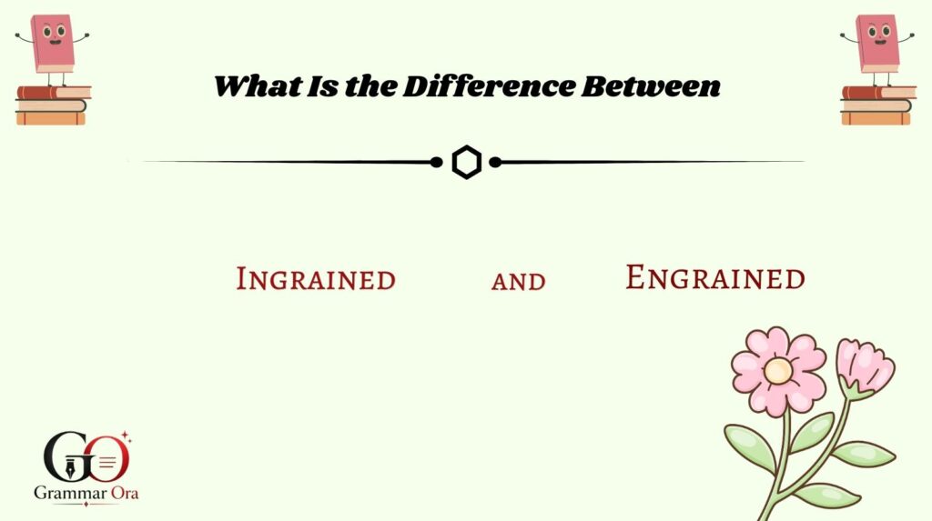 What Is the Difference Between