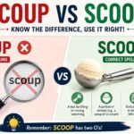 Scoup vs Scoop