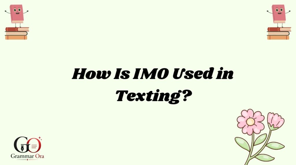 IMO Meaning