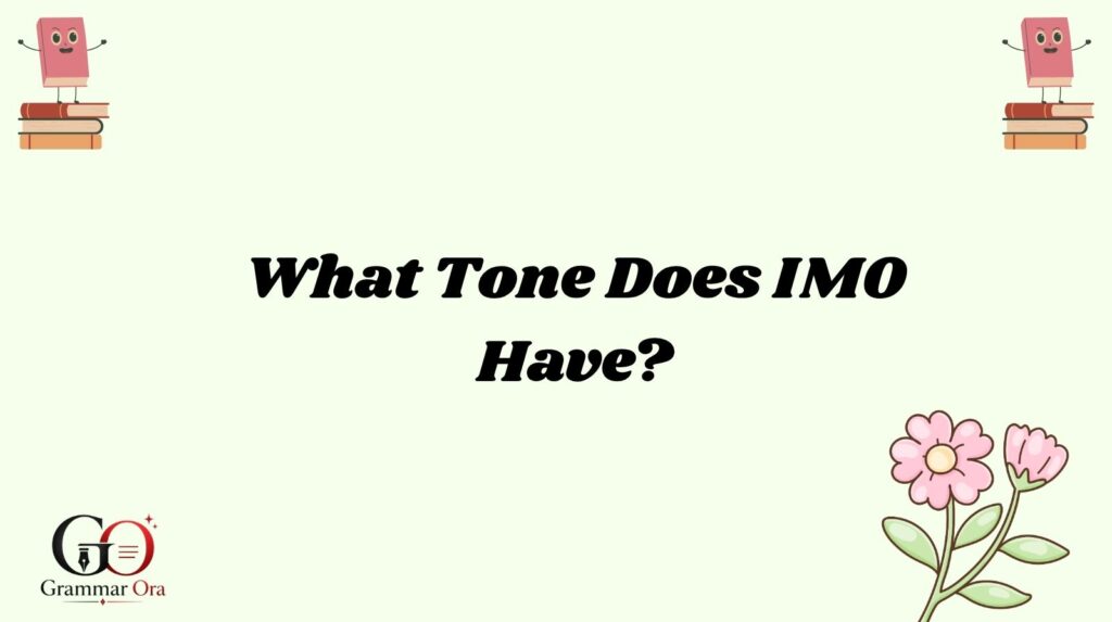 IMO Meaning