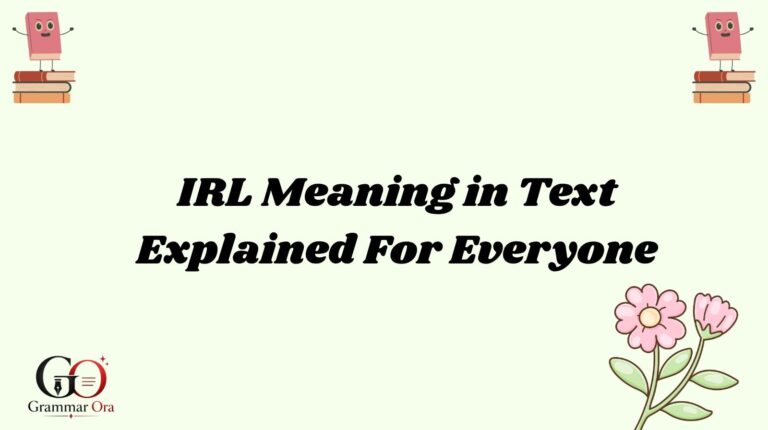 IRL Meaning