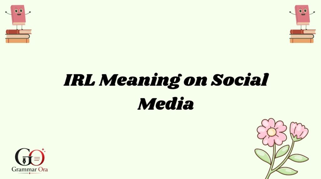 IRL Meaning