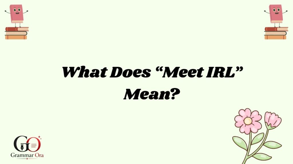 IRL Meaning