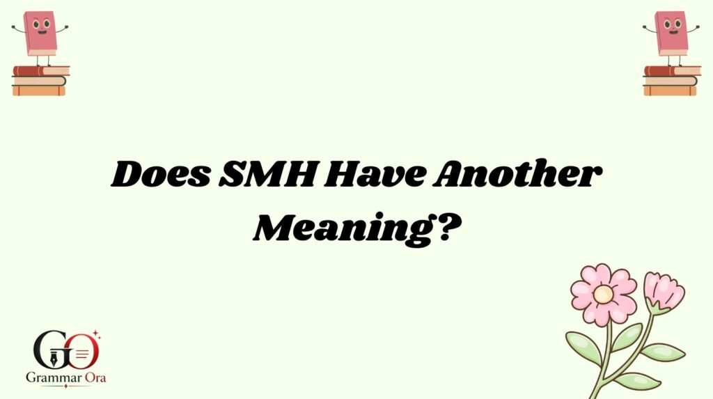 SMH Meaning