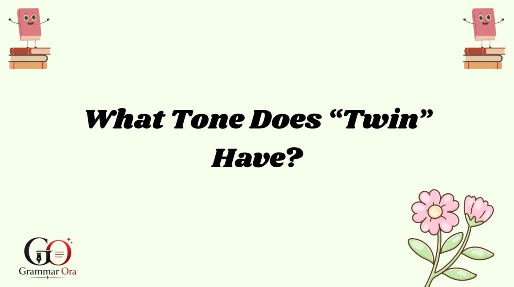 Twin Meaning
