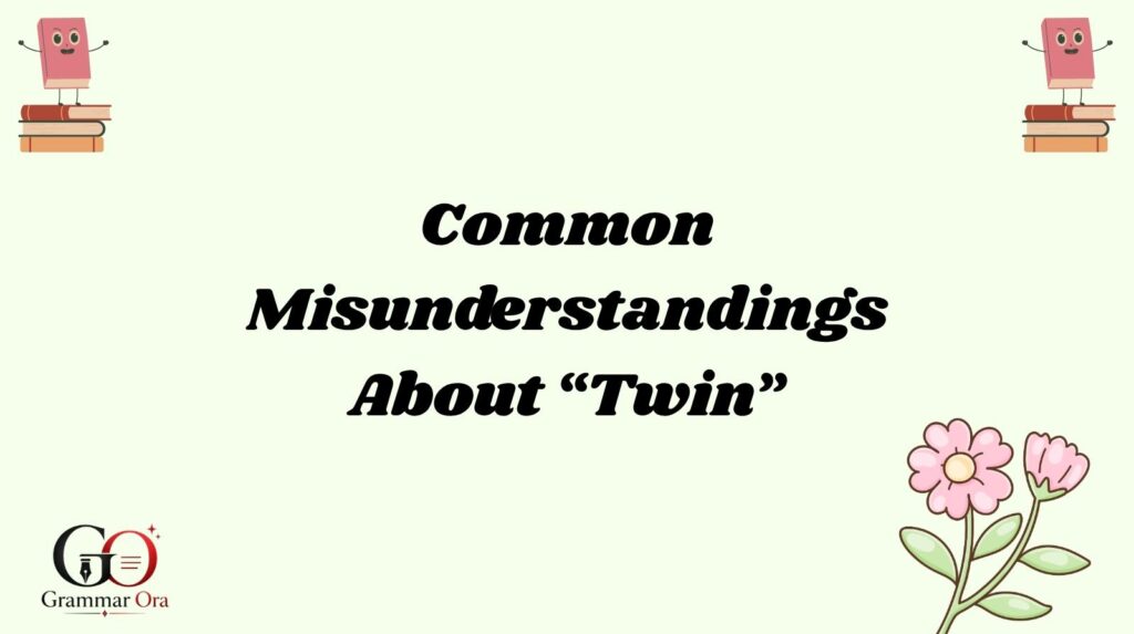 Twin Meaning