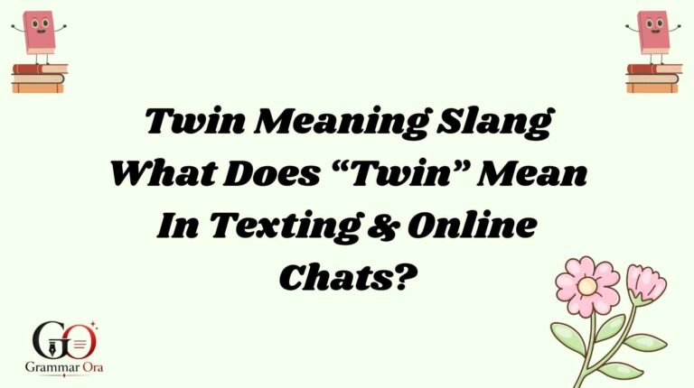 Twin Meaning