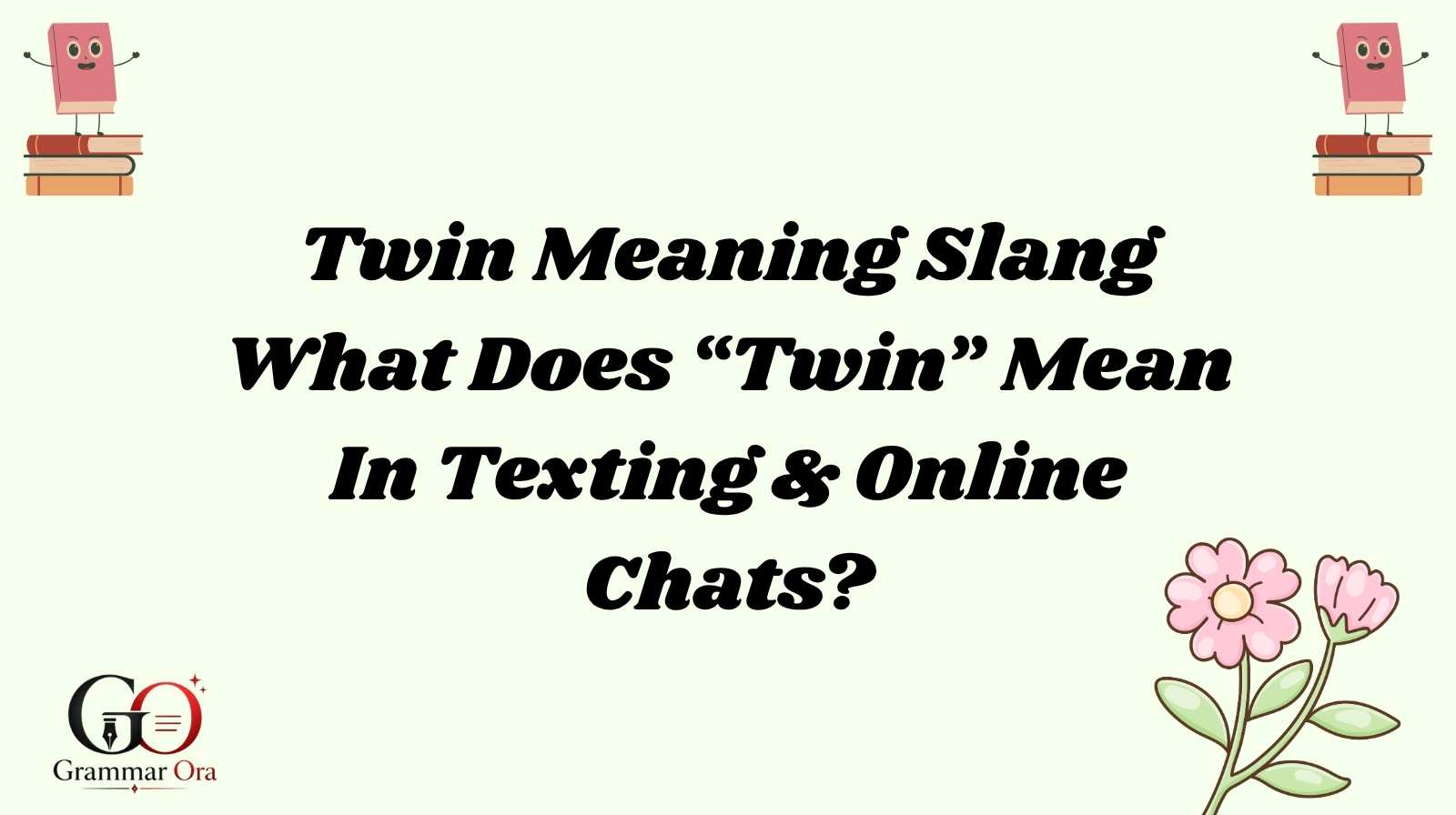 Twin Meaning
