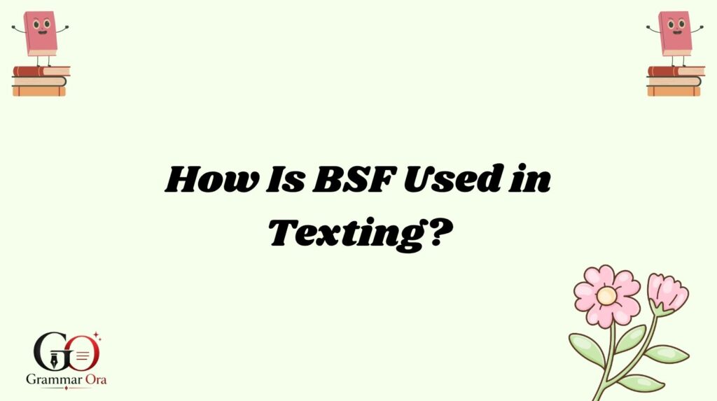 BSF Meaning
