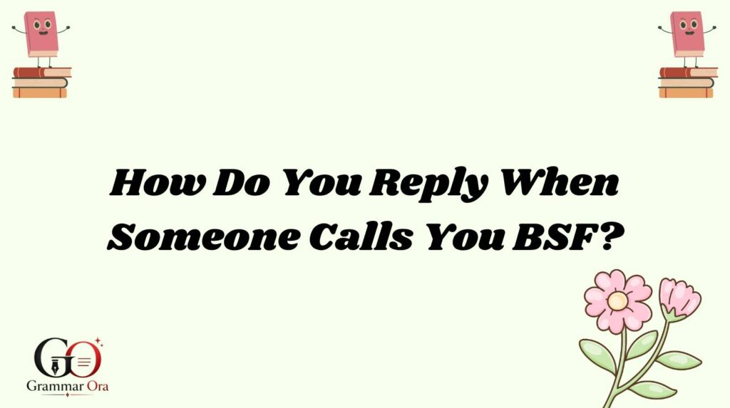 BSF Meaning