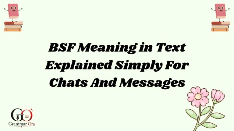 BSF Meaning
