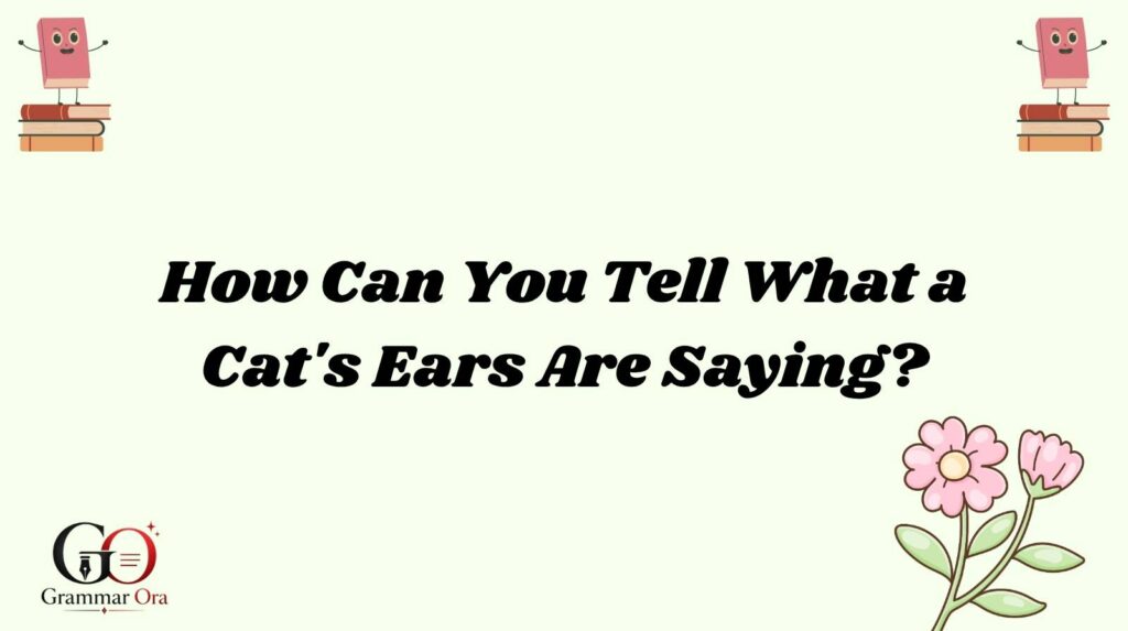 Cat Ears Meaning