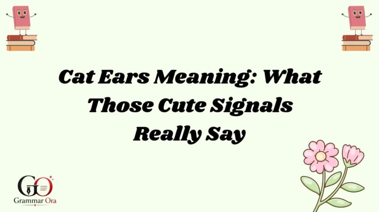 Cat Ears Meaning