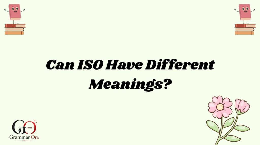 ISO Meaning