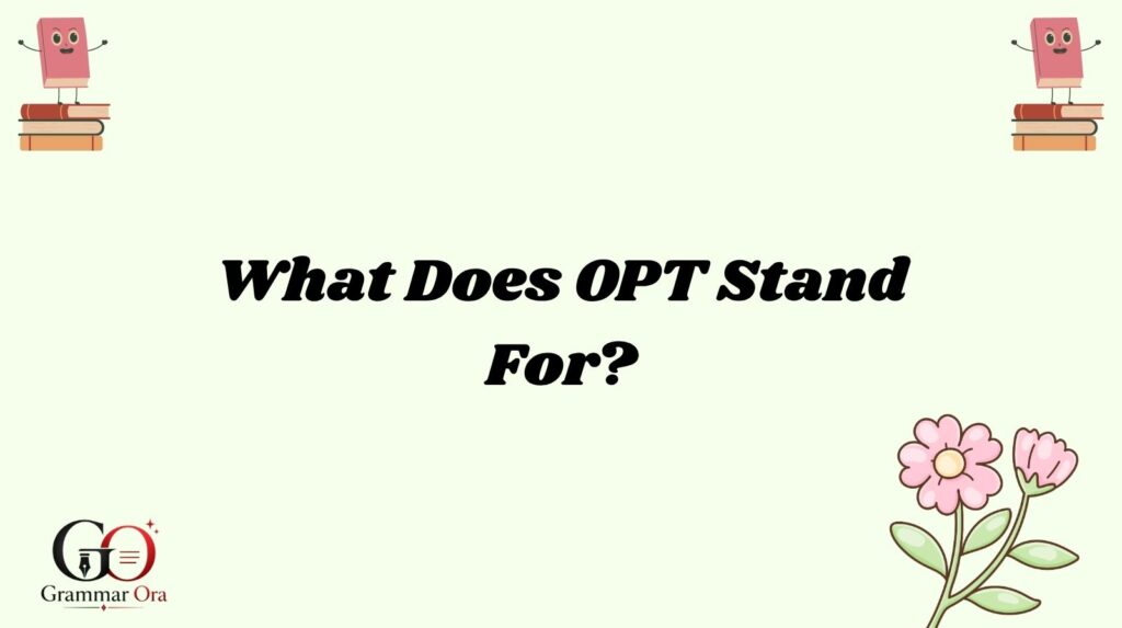 OPT Meaning