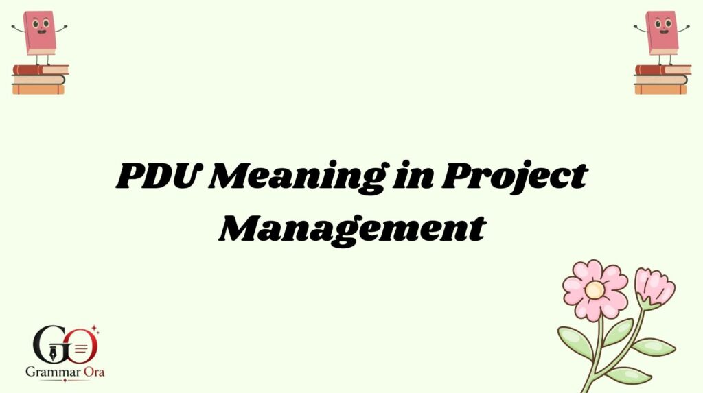 PDU Meaning