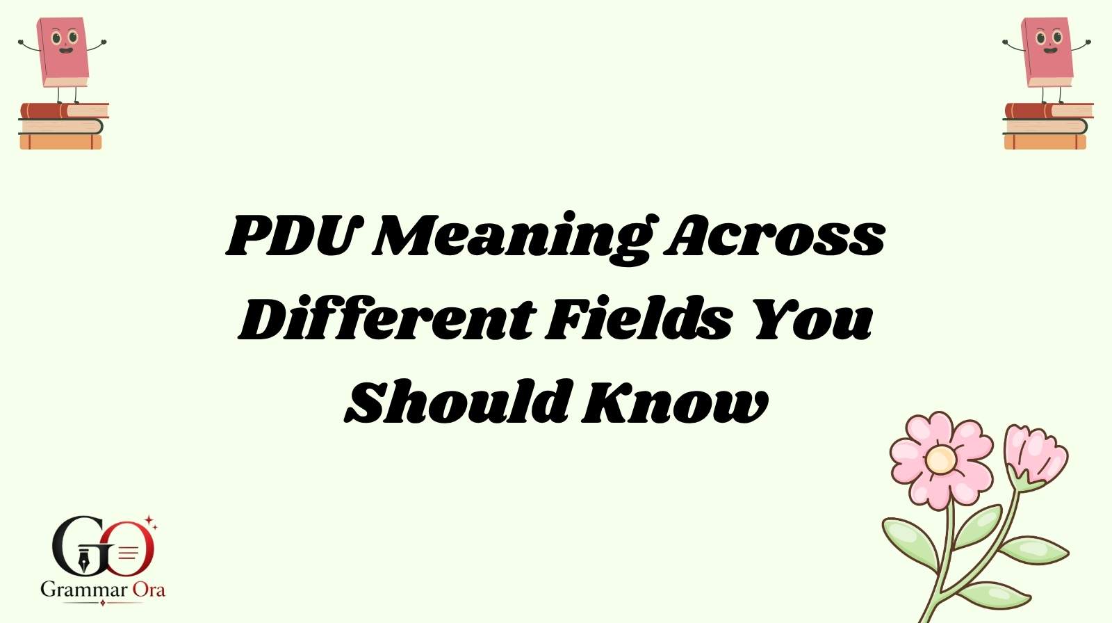 PDU Meaning