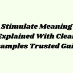 Stimulate Meaning