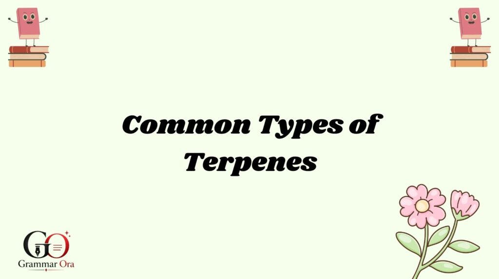 Terpenes Meaning
