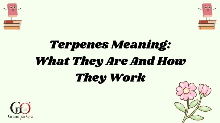 Terpenes Meaning