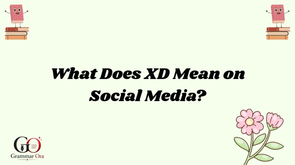 XD Meaning
