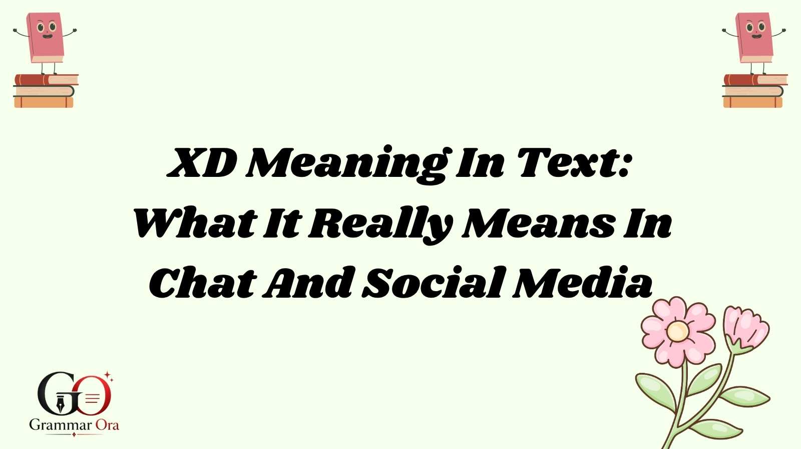 XD Meaning